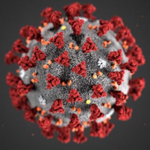 Koronaviruset - oppdatert informasjon