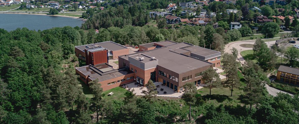 Skolens vedtekter