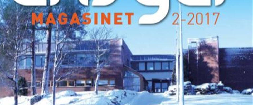 Blad nr. 2 - 2017