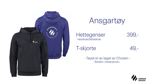 ansgartoy-ansgarskolen