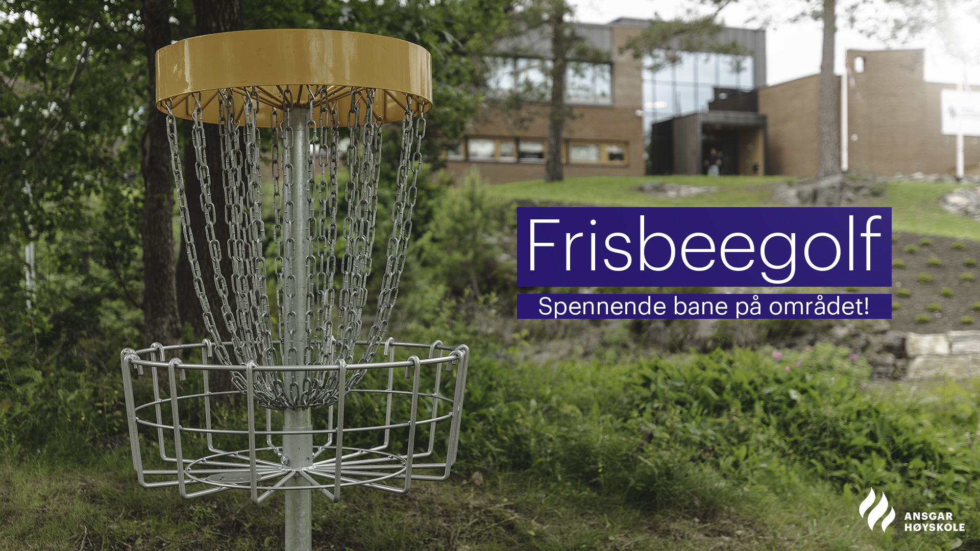 frisbeegolf-ath