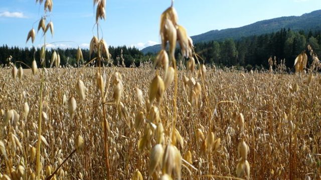 Miljø og teologi – er du interessert?