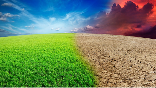 Alvor og håp på fullsatt klimaseminar